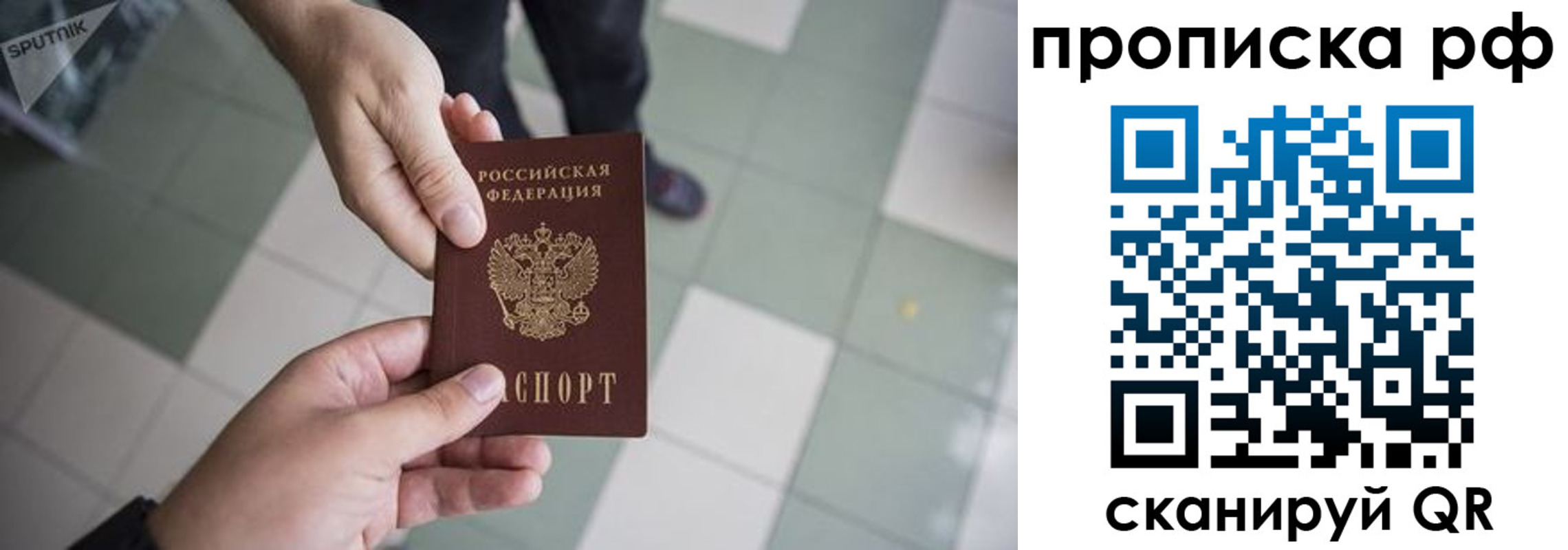 прописка гарантия в Тихорецке